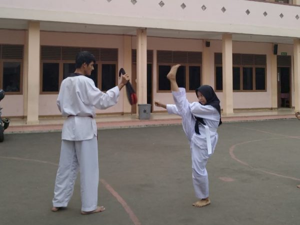 Juara Taekwondo