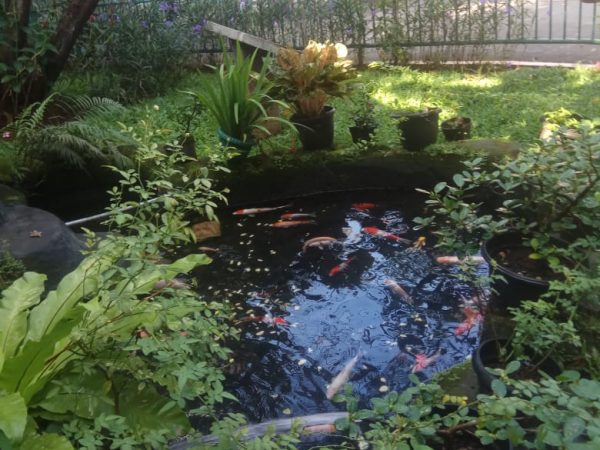 Taman Kolam