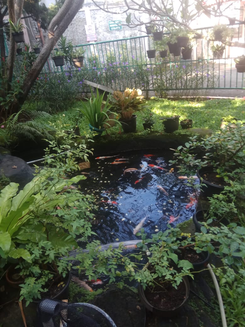 Taman Kolam