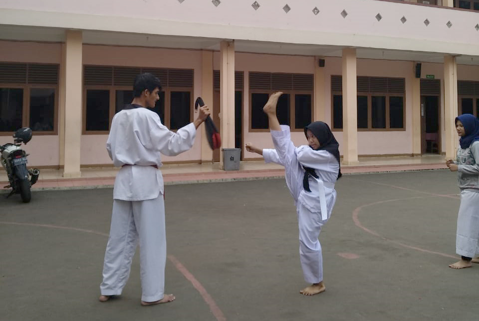 Juara Taekwondo